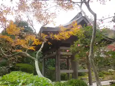 海蔵寺のその他建物