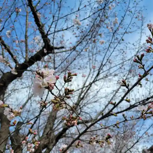 伏木香取神社の自然