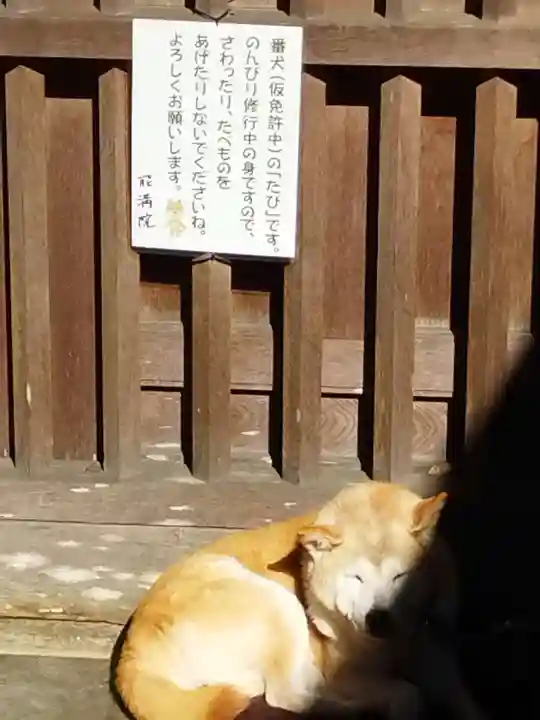 能満院(奈良県)