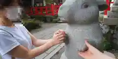 出雲大神宮の狛犬