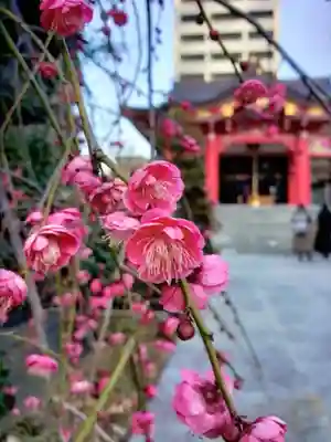 成子天神社(東京都)