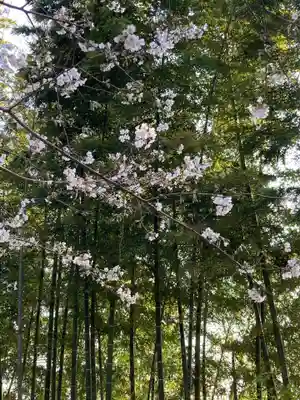 滝前不動尊(千葉県)