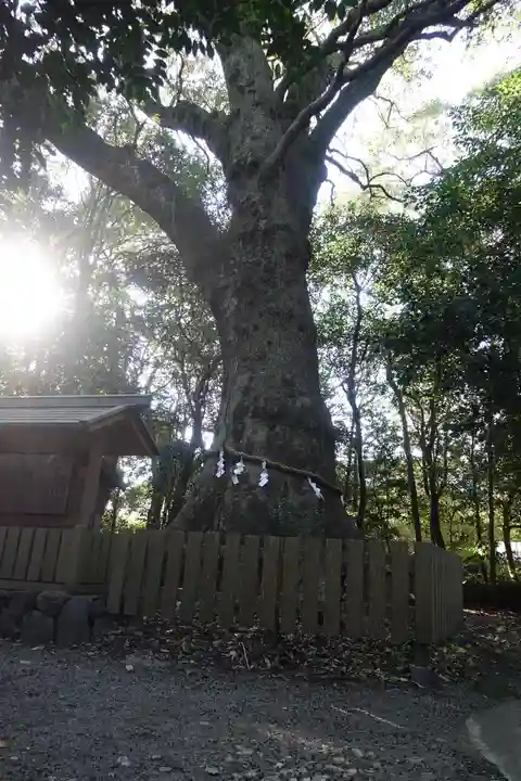 磯神社(三重県)