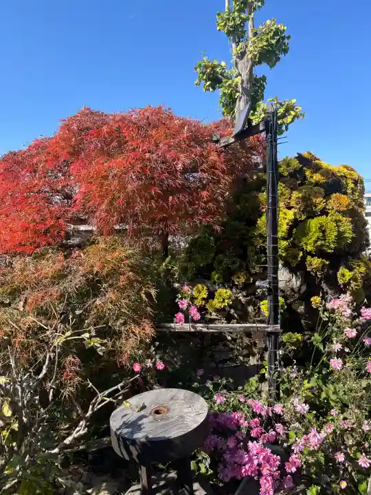少林寺(埼玉県)
