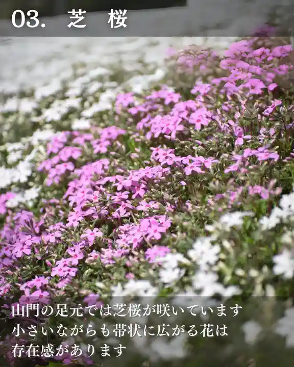 宝光寺(北海道)