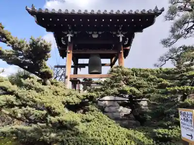 光清寺(京都府)