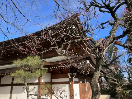 清水寺(東京都)