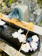 埴生神社(千葉県)