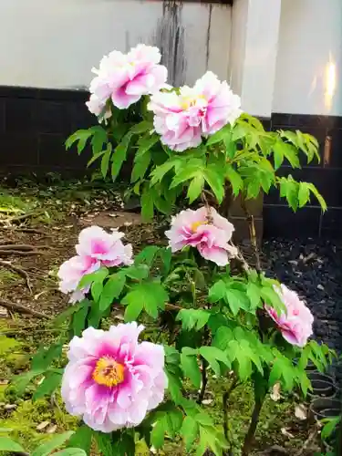 圓照寺(東京都)