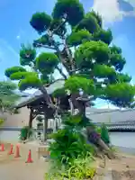 西念寺(大阪府)