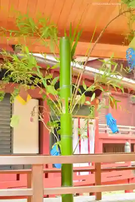 赤坂氷川神社(東京都)