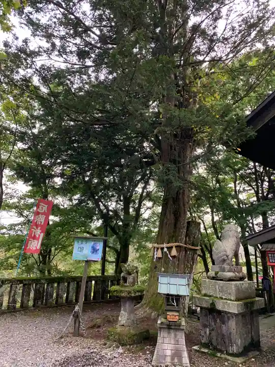 熊野皇大神社の自然