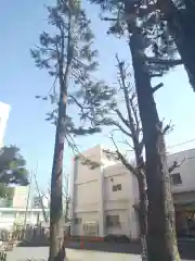 お三の宮日枝神社の自然