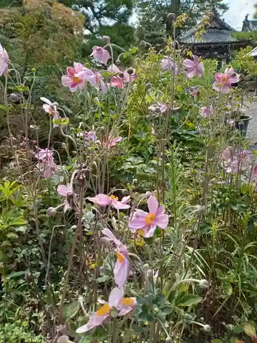 穴太寺(京都府)