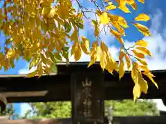 山家神社の自然