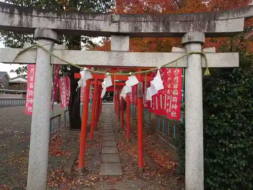 門田稲荷神社の鳥居