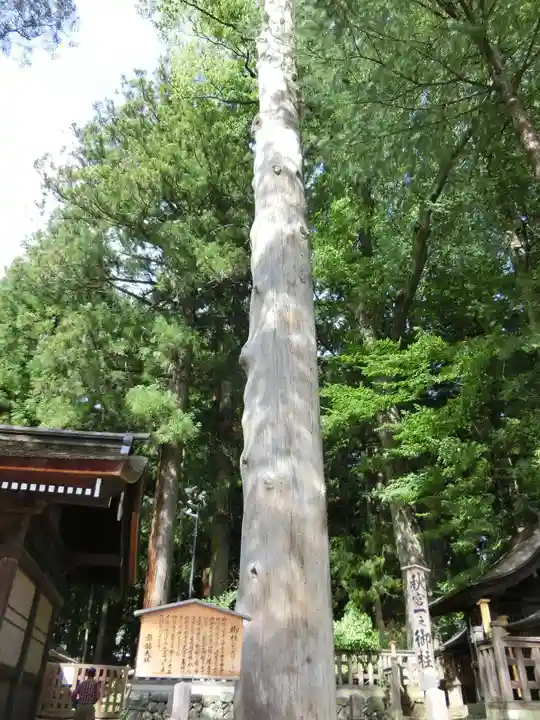 諏訪大社下社秋宮の自然