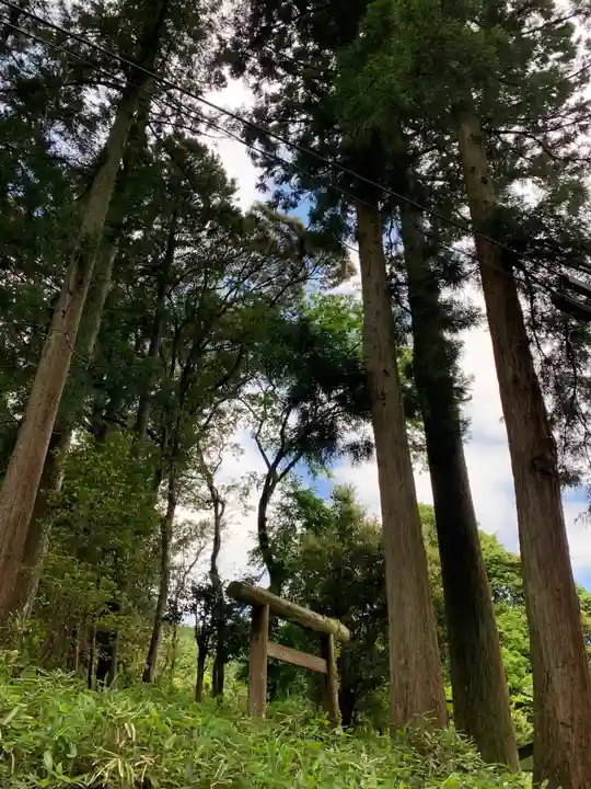 山神神社(千葉県)