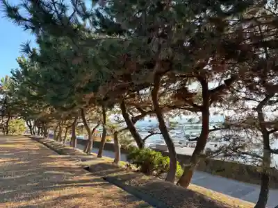 住吉神社(兵庫県)