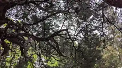 寶生院の自然