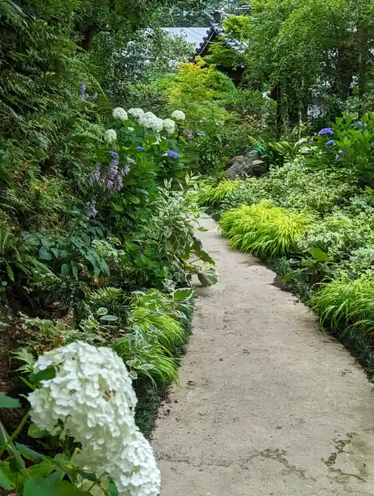 一條殿 新善光寺(京都府)