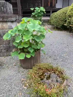 等覚院(神奈川県)