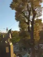 野島稲荷神社(神奈川県)