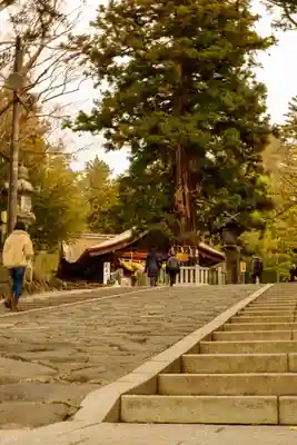 諏訪大社下社秋宮(長野県)