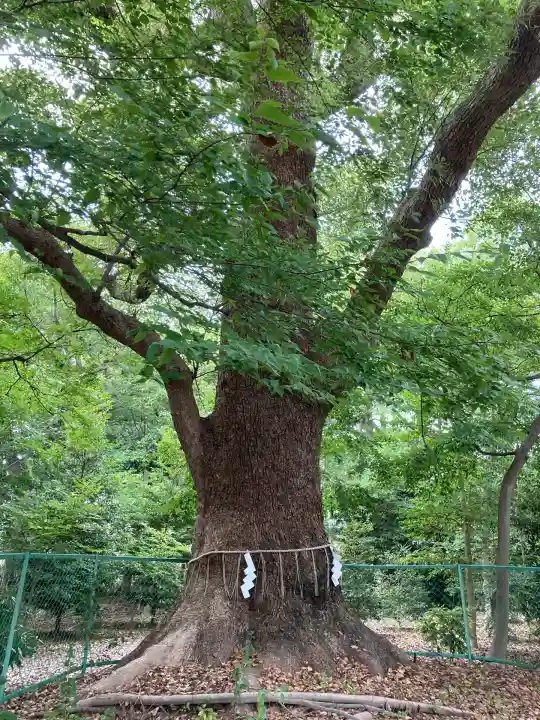 泉穴師神社(大阪府)