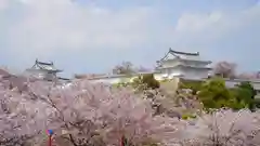 千姫天満宮の周辺