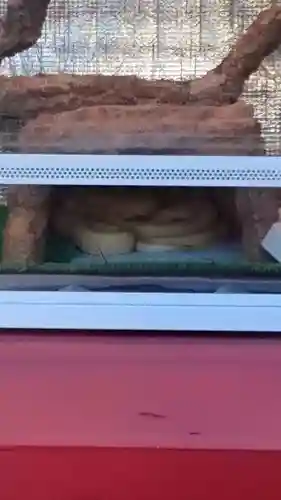 蛇窪神社(東京都)