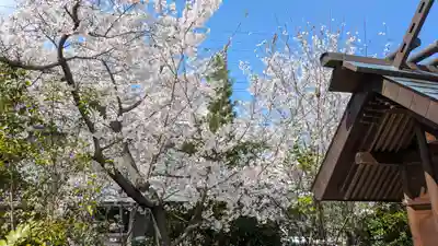 柊社(比良木社)(京都府)