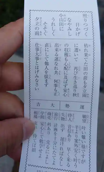 東京大神宮のおみくじ