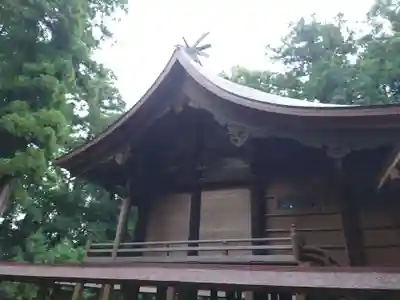 蛟蝄神社奥の宮の本殿・本堂