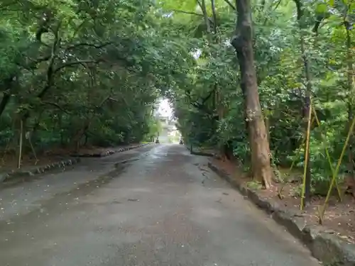 三嶋大社(静岡県)