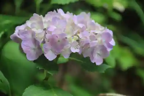 大六天麻王神社の庭園
