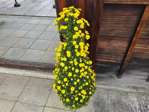 霊鑑寺門跡(京都府)