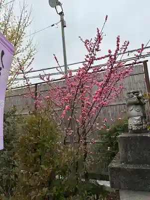 鹿島神社(栃木県)