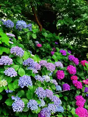 稲荷神社(愛知県)