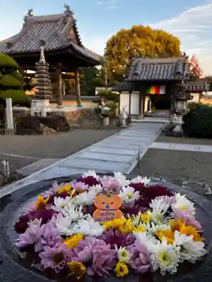 真言宗　善通寺派　薬王寺(香川県)