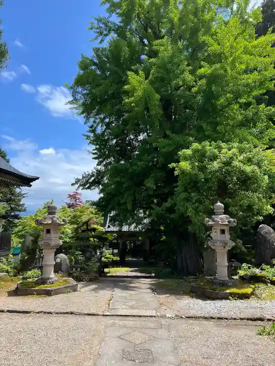 珍蔵寺 (山形県)