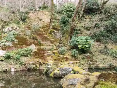 三千院門跡の{uncategorized: "未分類", other: "その他", undefined: "問題あり", building: "その他建物", grave: "お墓", sacred_gate: "鳥居", guardian: "狛犬", statue: "像", buddha: "仏像", history: "歴史", nature: "自然", garden: "庭園", animal: "動物", pagoda: "塔", temizu: "手水舎", mountain_gate: "山門・神門", sanctuary: "本殿・本堂", subordinate: "末社・摂社", art: "芸術", scenery: "景色", jizo: "地蔵", ema: "絵馬", goshuin: "御朱印", omikuji: "おみくじ", items: "授与品その他", amulet: "お守り", goshuincho: "御朱印帳", eats: "食事", festival: "お祭り", votive_dance: "神楽", shichigosan: "七五三参", wedding: "結婚式", experience: "体験その他", initially: "初詣", around: "周辺", anti_infection: "感染症対策"}