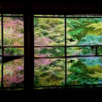 光明寺瑠璃光院(京都府)