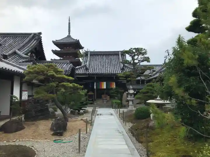 圓通寺の本殿・本堂