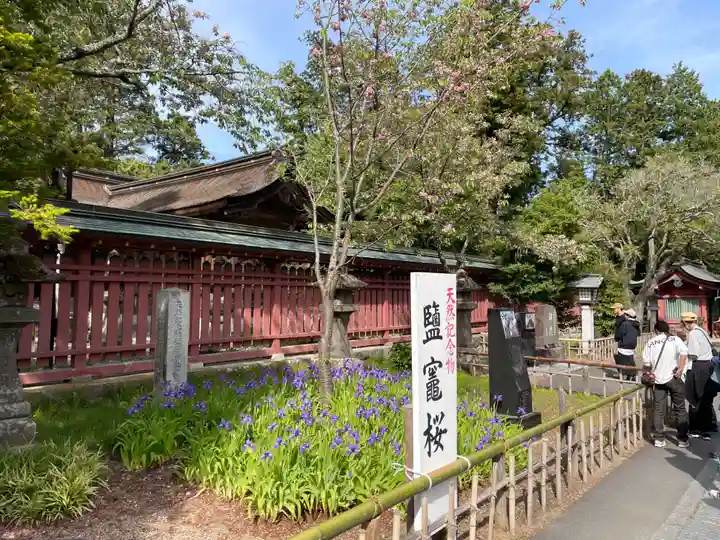 志波彦神社・鹽竈神社(宮城県)
