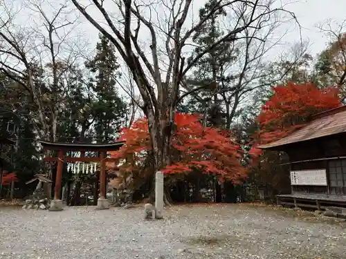 椋神社(埼玉県)