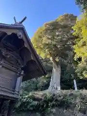 神功皇后神社(山口県)