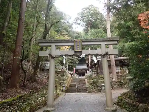 崇道神社の鳥居