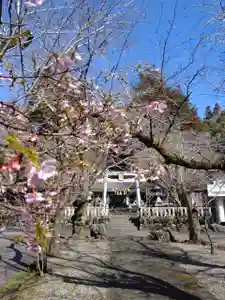天鷹神社(岐阜県)(2023年03月25日(土) 06時55分30秒投稿)