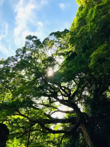 龍福寺(千葉県)